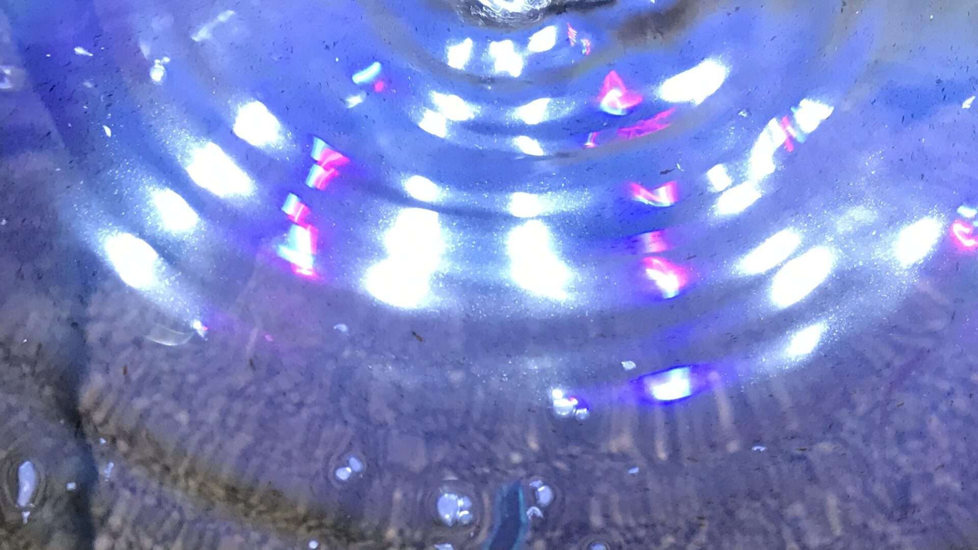 水槽の水面に浮く油膜の簡単な除去方法 九州アクア日和