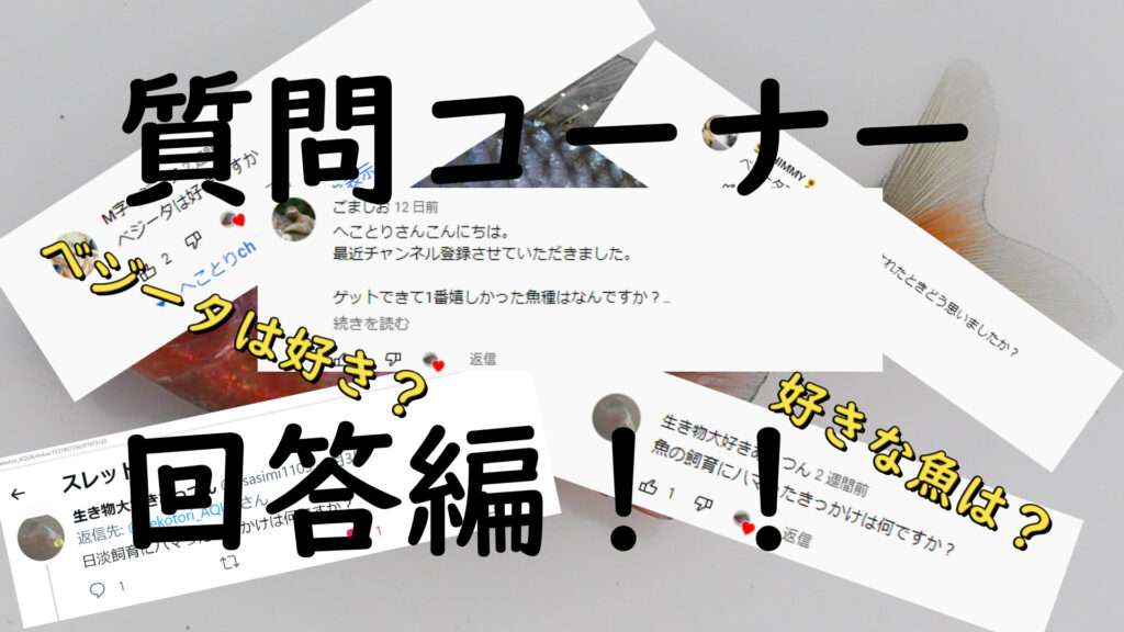 九州アクア日和 ページ 5 魚の心を鷲掴み 九州アクア日和 ページ 5 魚の心を鷲掴み